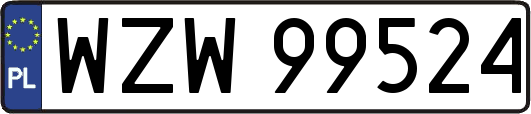 WZW99524