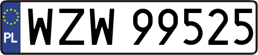 WZW99525