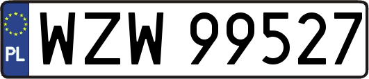 WZW99527