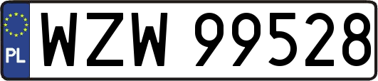 WZW99528