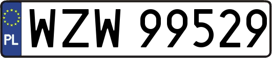 WZW99529