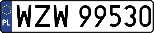 WZW99530