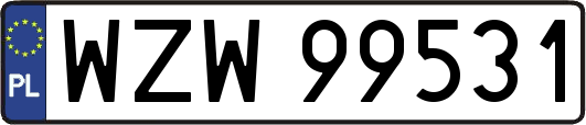 WZW99531