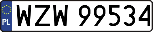 WZW99534