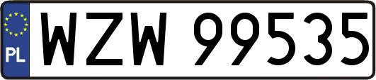 WZW99535