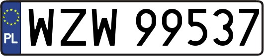 WZW99537