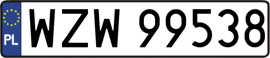 WZW99538