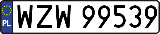 WZW99539