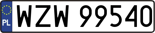 WZW99540