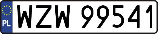 WZW99541