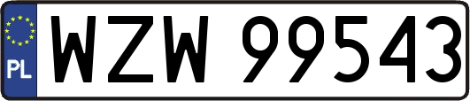 WZW99543
