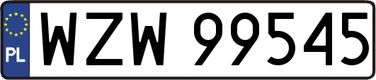 WZW99545