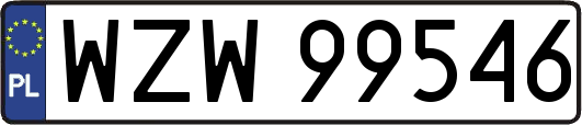 WZW99546