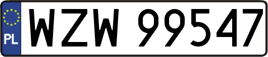 WZW99547