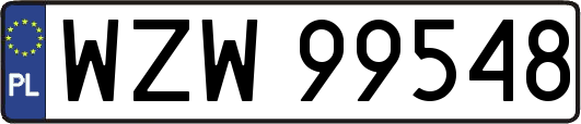 WZW99548