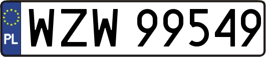 WZW99549