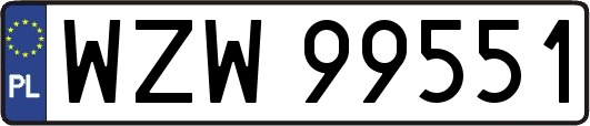 WZW99551