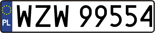 WZW99554