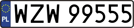 WZW99555