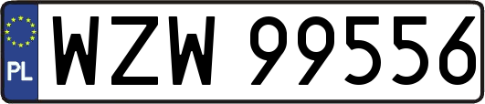 WZW99556
