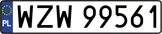 WZW99561
