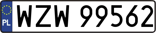 WZW99562