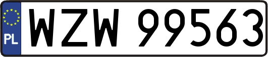 WZW99563