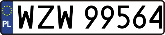 WZW99564