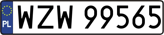 WZW99565