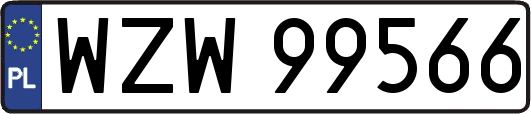 WZW99566
