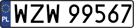 WZW99567