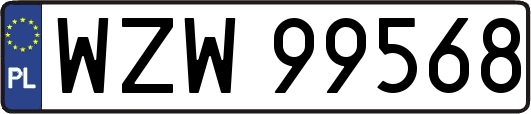 WZW99568