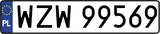 WZW99569