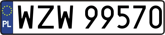 WZW99570