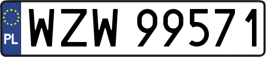 WZW99571