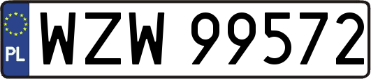 WZW99572