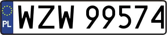 WZW99574