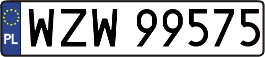 WZW99575