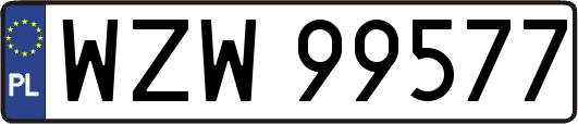 WZW99577