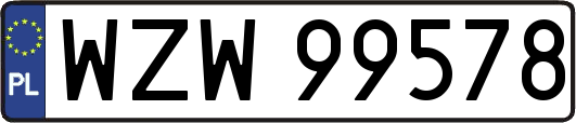 WZW99578