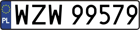 WZW99579
