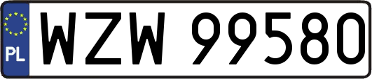 WZW99580