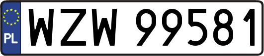 WZW99581