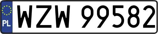 WZW99582