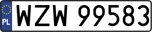 WZW99583