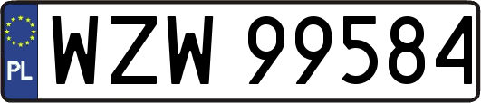 WZW99584