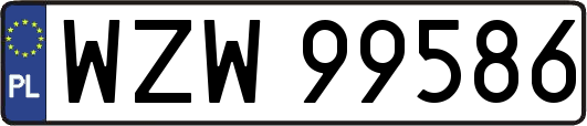 WZW99586