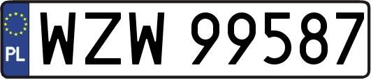 WZW99587