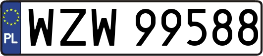 WZW99588