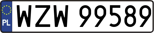 WZW99589